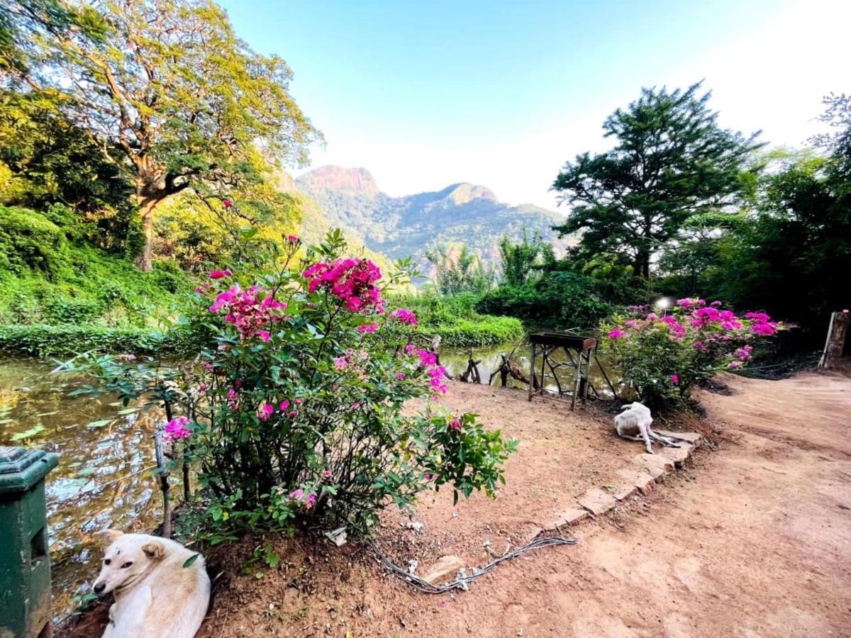 Eco Lodge Meemure & Adventure Park Mimure Dış mekan fotoğraf