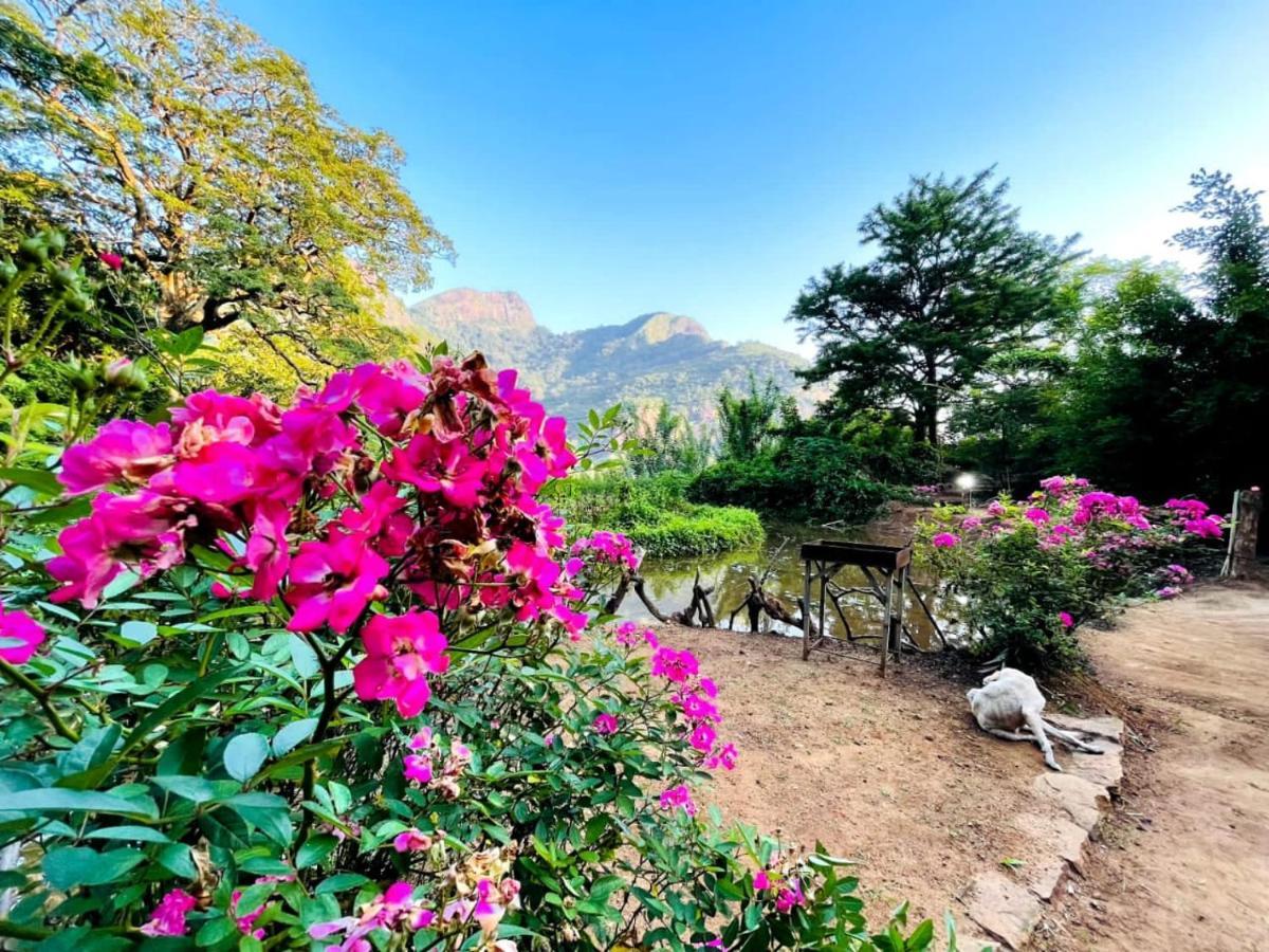 Eco Lodge Meemure & Adventure Park Mimure Dış mekan fotoğraf