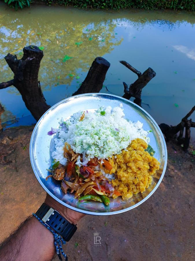 Eco Lodge Meemure & Adventure Park Mimure Dış mekan fotoğraf